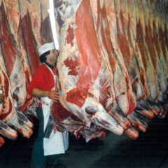 CATTLE-SHEEP-SLAUGHTERHOUSE_04